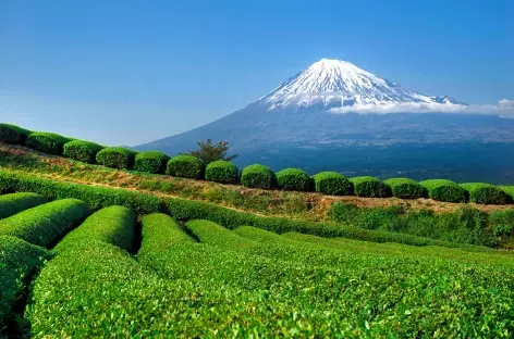 Belle vue sur le Fuji (3776 m), sommet du Japon