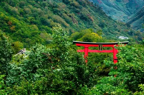 Sur les chemin de pèlerinage de Dewa Sanzan - Japon