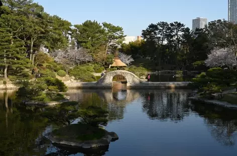 Jardin de Shukkei-en à Hiroshima - Japon