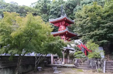 Konsenji