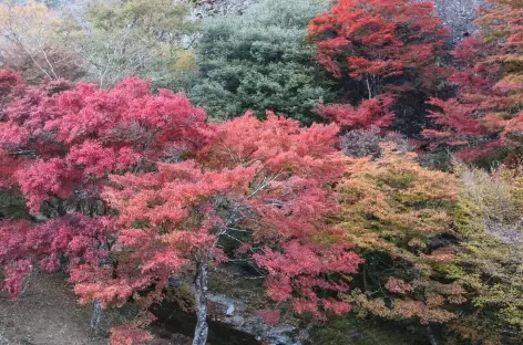 Devant l'hôtel Furuiwayaso