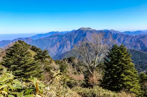 Ascension Mt Ishizuchi