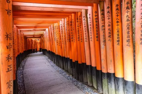 Fushimi Inari