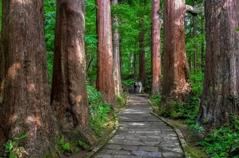Sur les chemins sacrés de Dewa Sanzan - Japon