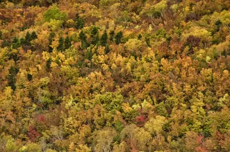 Couleurs d'automne vers le Mont Tateyama - Japon