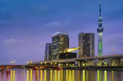 Sumida River Sky Tree