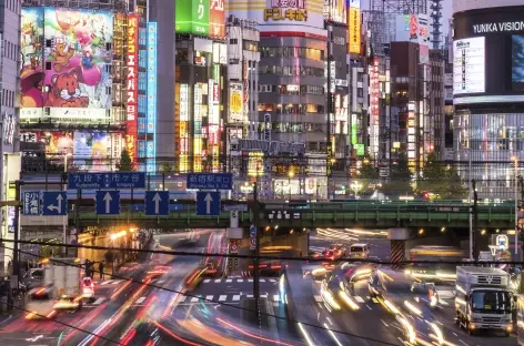 Shinjuku at Night, Tokyo_Japon