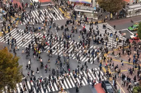 Shibuya Crossing, Tokyo_Japon