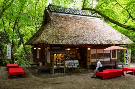 Tea House, Nara_Japon