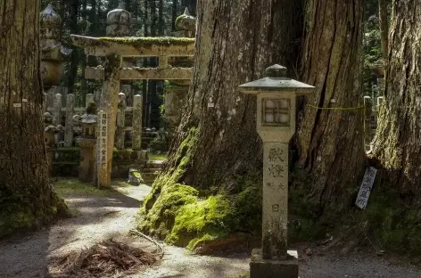 Koyasan Okunin_Japon - 