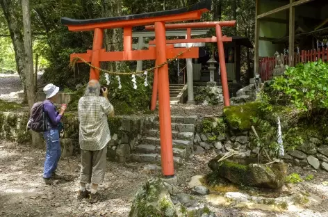 Kumano Kodo_Japon