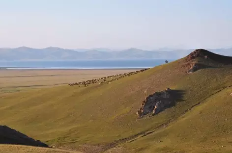 Balade au-dessus du lac Song Kul - Kirghizie