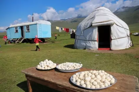 Le qurut, fromage des nomades, sèche au soleil - Kirghizie