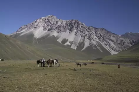 Plaine de paturage - Kirghizie
