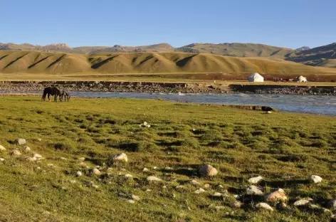 Dans la plaine de Soussamir - Kirghizie