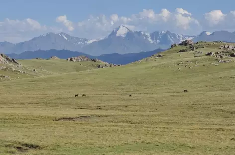 Plateau des Tian Shan - Kirghizie