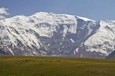 Le Pic Lénine depuis le Pamir Alaï - Kirghizie