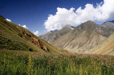 Vallée de Sary Mogol nord - Kirghizie