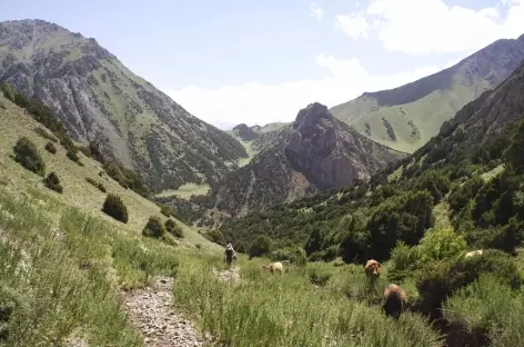 Sentier entre Sary Bel et Kochmoinok - Kirghizie