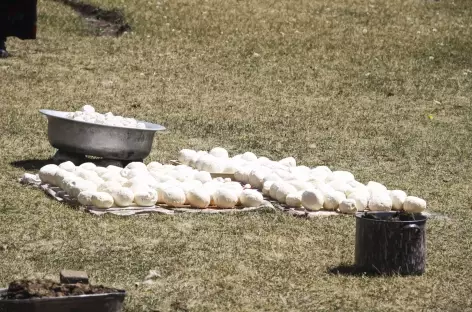 Fromages séchant au soleil - Kirghizie