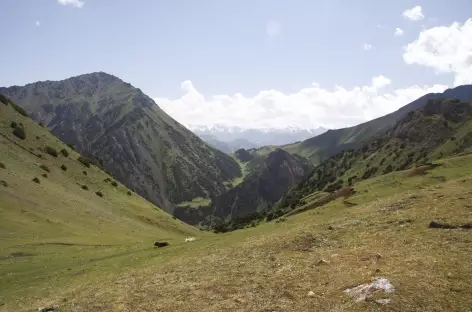 Depuis le col Kochmoinok - Kirghizie