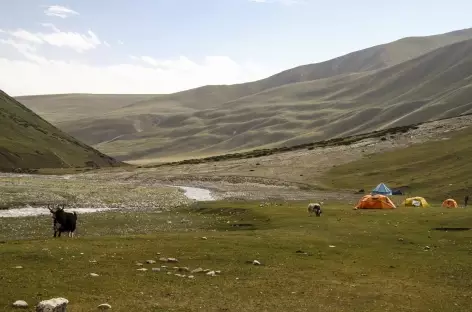 Camp en bas de la vallée de Sary Mogol - Kirghizie
