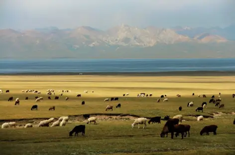Balade au lac Song Kul - Kirghizie