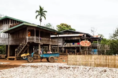 Plateau des Boloven - Laos