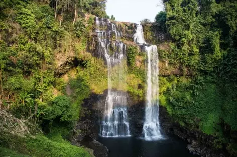 Plateau des Boloven - Laos