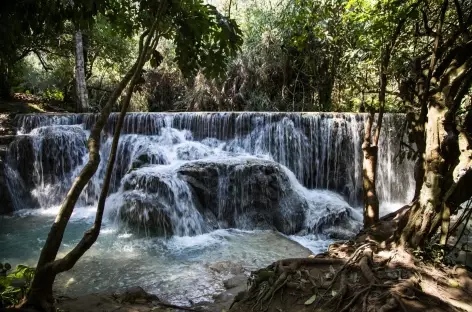 Chutes de Kuang Si - Laos