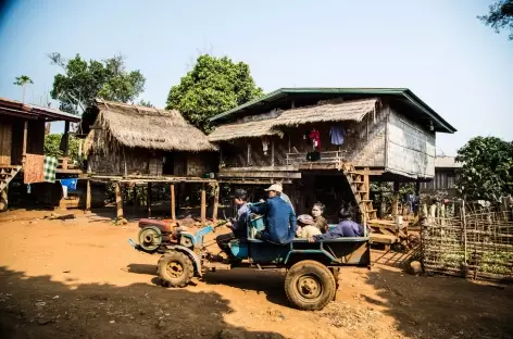 Plateau des Boloven - Laos