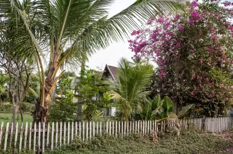 Sur l'île de Don Khone - Laos