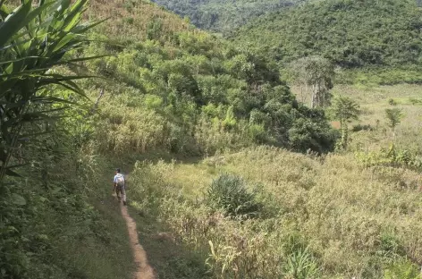 Marche à travers les champs après Payang - Laos