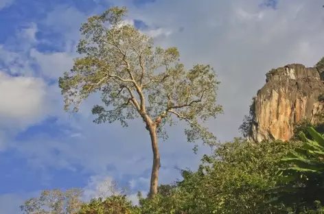 Paysage sur les rives de la Nam Ou - Laos