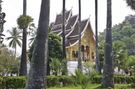 Dans les jardins du palais royal de Luang Prabang - Laos
