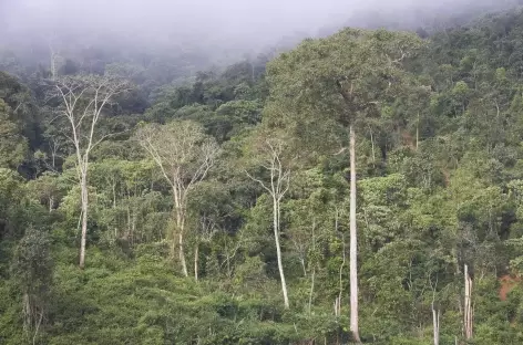 Brume matinale dans les parages de Ban Nam Lo - Laos