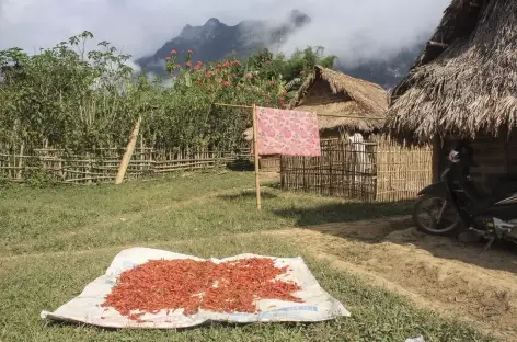 Arrivée au village Hmong de Payang - Laos