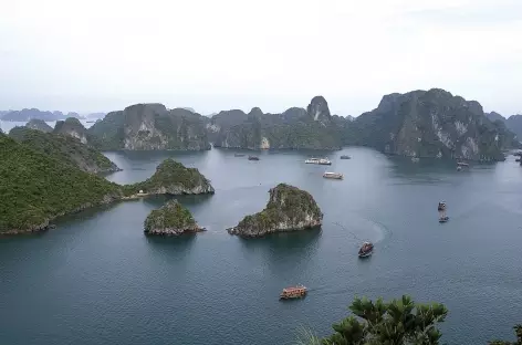 Baie d'Halong - Vietnam - 
