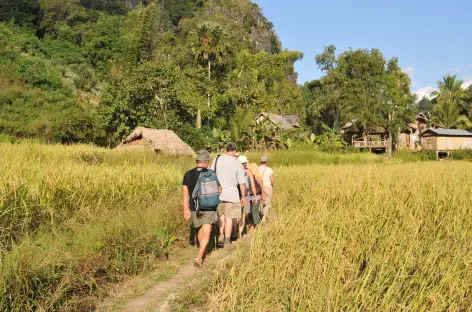 Nong Khiaw, navigation > Nam Ou et trek > Pays lao Loum