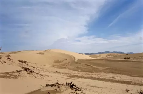 Dunes de Khongor, Mongolie