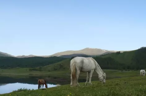 Région des Huit lacs - Mongolie