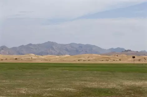 Dunes de Khongor - Mongolie