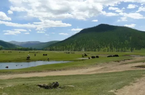 Région des Huit lacs - Mongolie