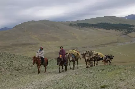 Chameliers - Mongolie