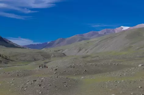 Vallée de Kharkhiraa - Mongolie