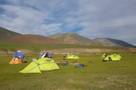 Camp - Mongolie