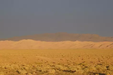 Dunes chantantes du désert de Gobi - Mongolie