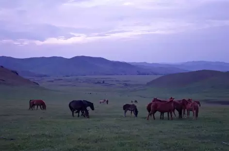 Vallée de l’Orkhon - Mongolie