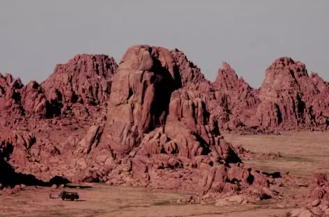 Bayanzag - Mongolie