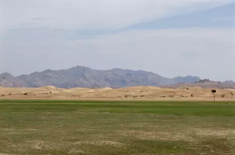 Dunes de Khongor - Mongolie